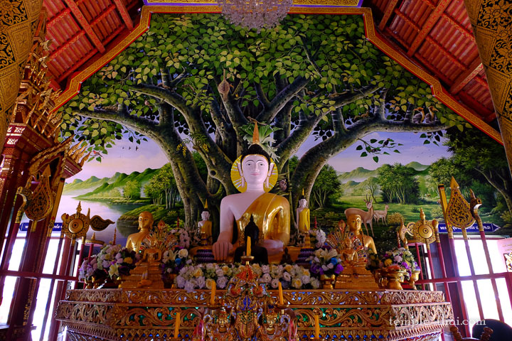 Wat Phuket