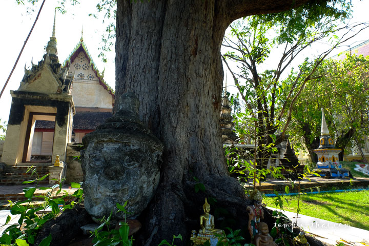 Wat Lamut