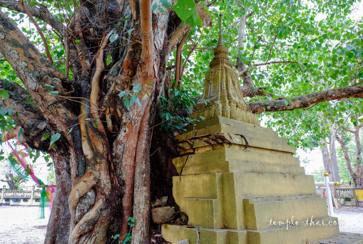 Wat Ton Pho Si Maha Phot