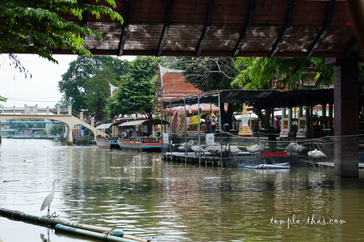 Kwam-Riam floating market