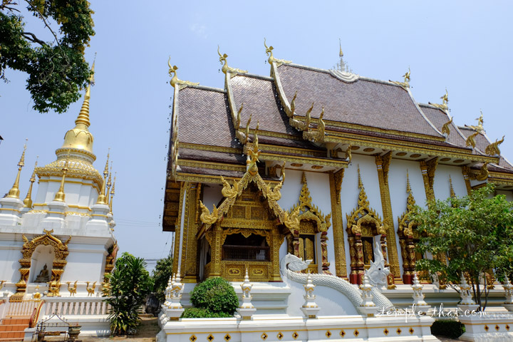 วัดป่าแดด