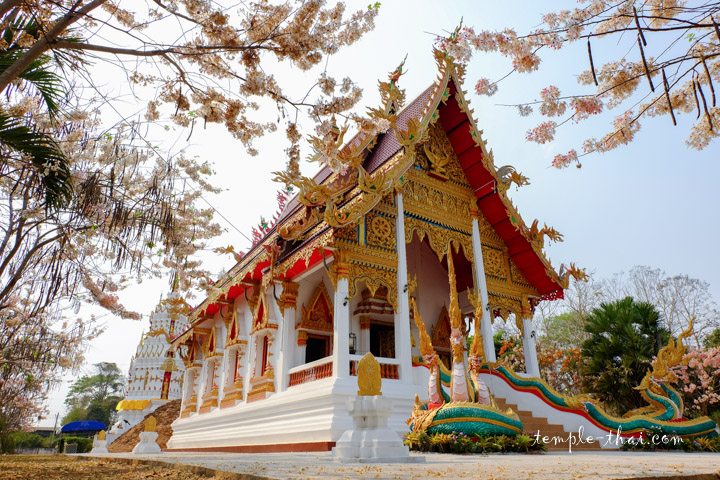Wat Chedi Ngam Phayao