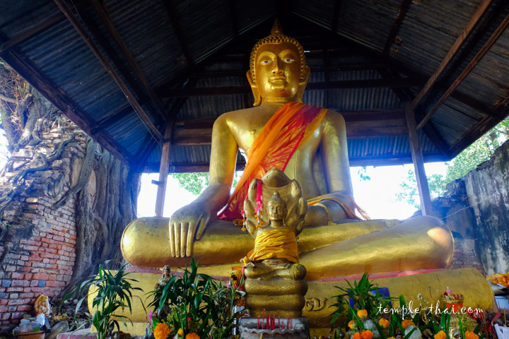 Wat Phueng