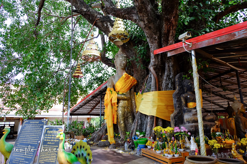 Wat Phuttha Mongkhon Kantharawichai