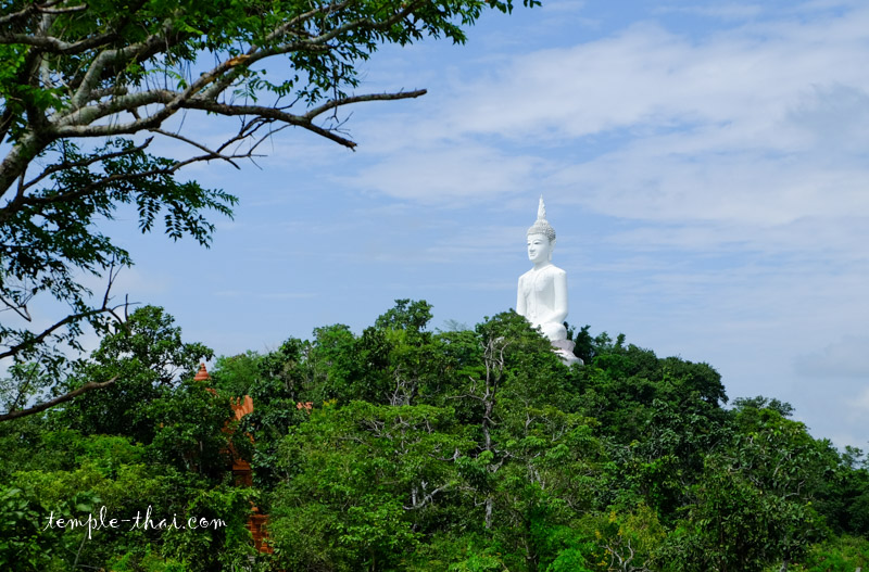 Phanom Sawai Forest Park