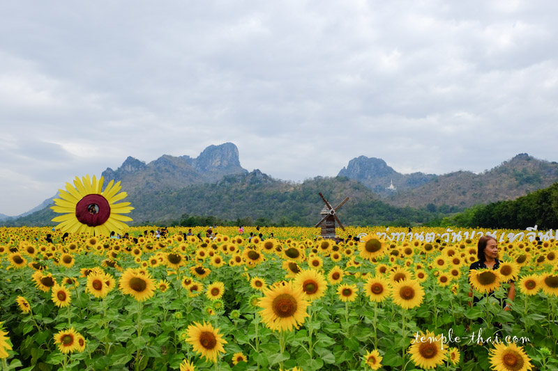 Province de Lopburi