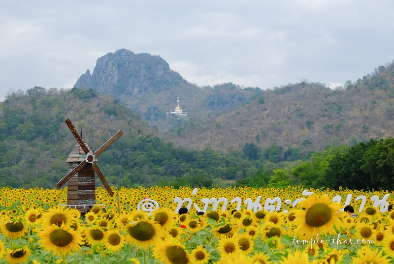 Province de Lopburi