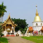 Wat Pa Dara Phirom  วัดป่าดาราภิรมย์